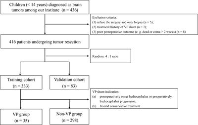 A scoring system categorizing risk factors to evaluate the need for ventriculoperitoneal shunt in pediatric patients after brain tumor resection